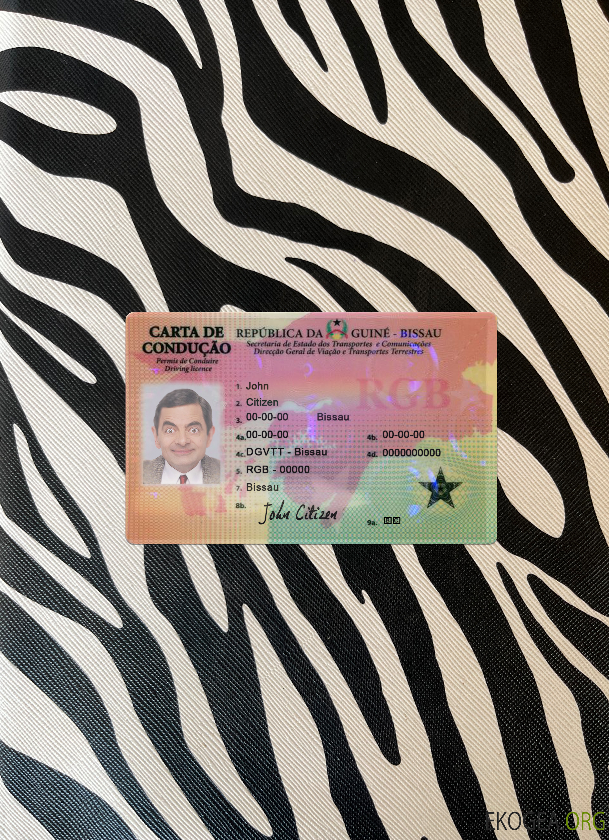 Photolook recto du permis de conduire de Guinée Bissau